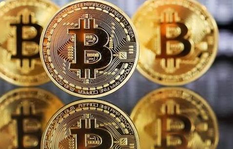 比特派是否支持波卡？
